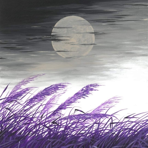 Meet your Posher, Sunny - Picture 7 of 8